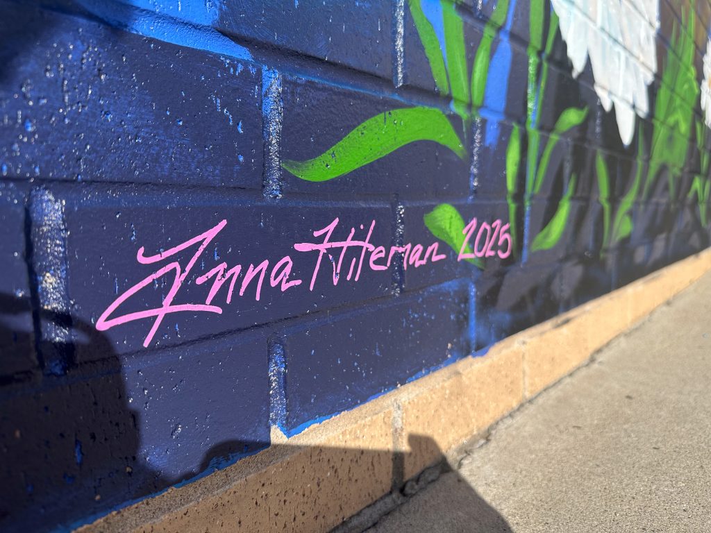 Dual Immersion Academy school mural