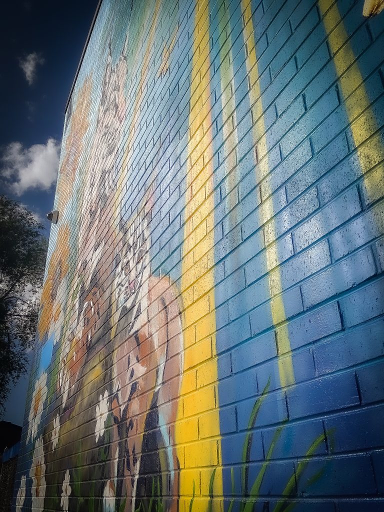 Dual Immersion Academy school mural